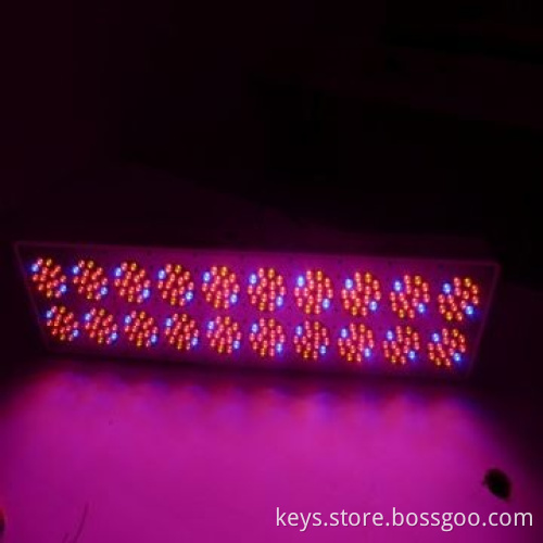 12,400lm Red/Blue Indoor Plant Grow Lights for Plant Breeding, 3W